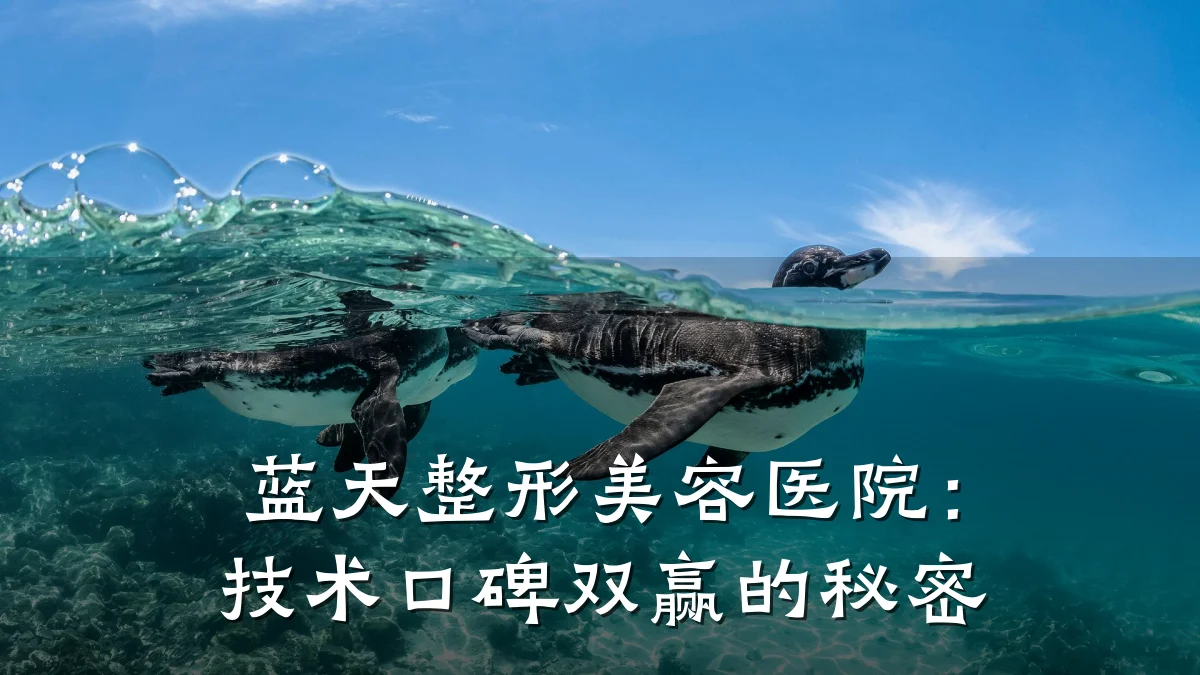 蓝天整形美容医院:技术口碑双赢的秘密