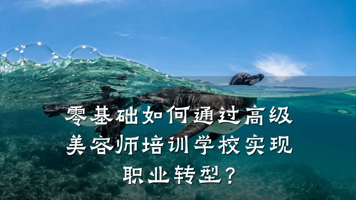 零基础如何通过高级美容师培训学校实现职业转型?