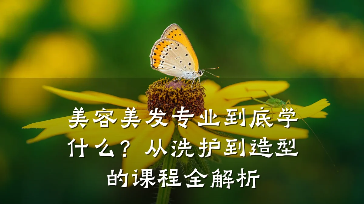 美容美发专业到底学什么?从洗护到造型的课程全解析
