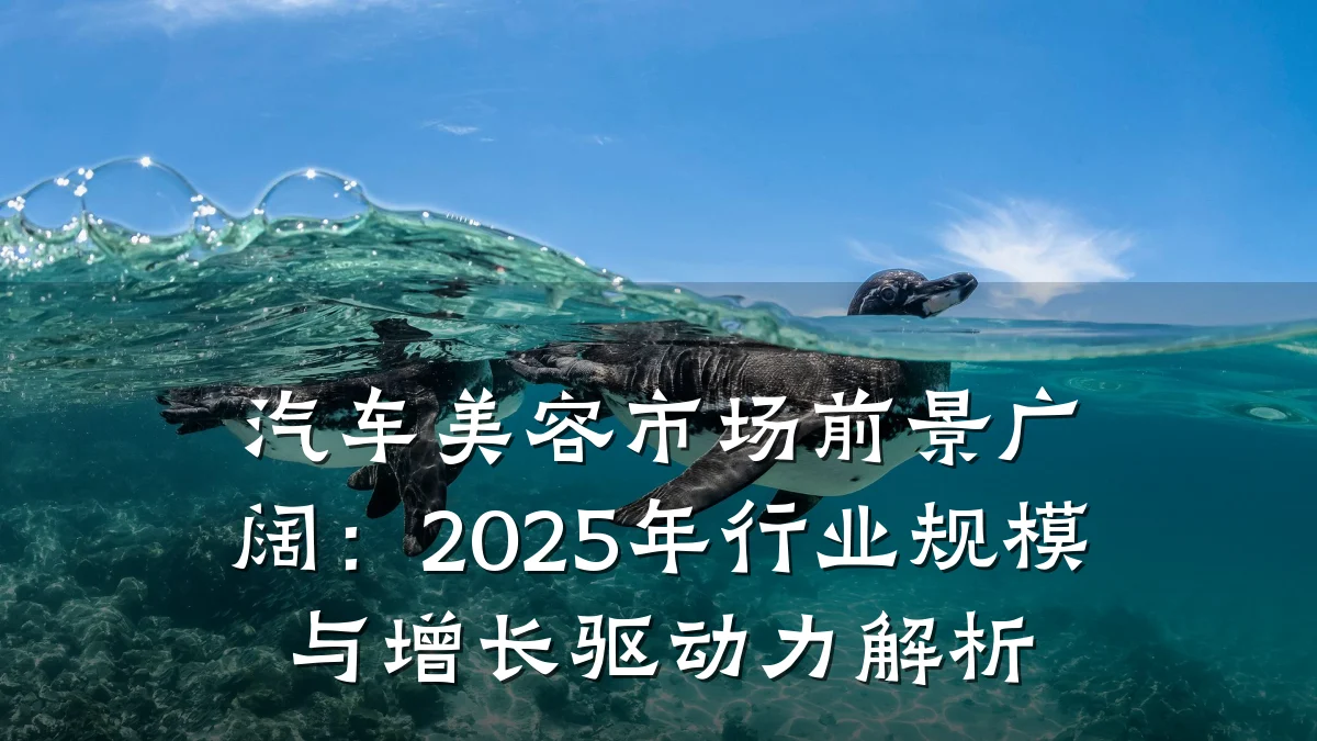 汽车美容市场前景广阔:2025年行业规模与增长驱动力解析