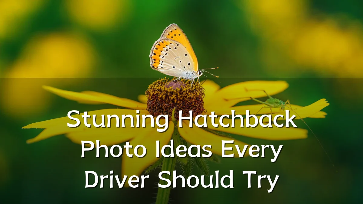 Stunning Hatchback Photo Ideas Every Driver Should Try