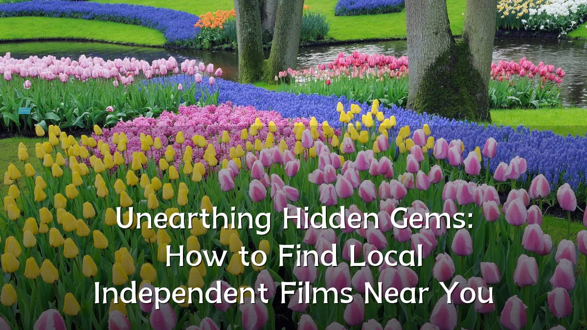 Unearthing Hidden Gems: How to Find Local Independent Films Near You