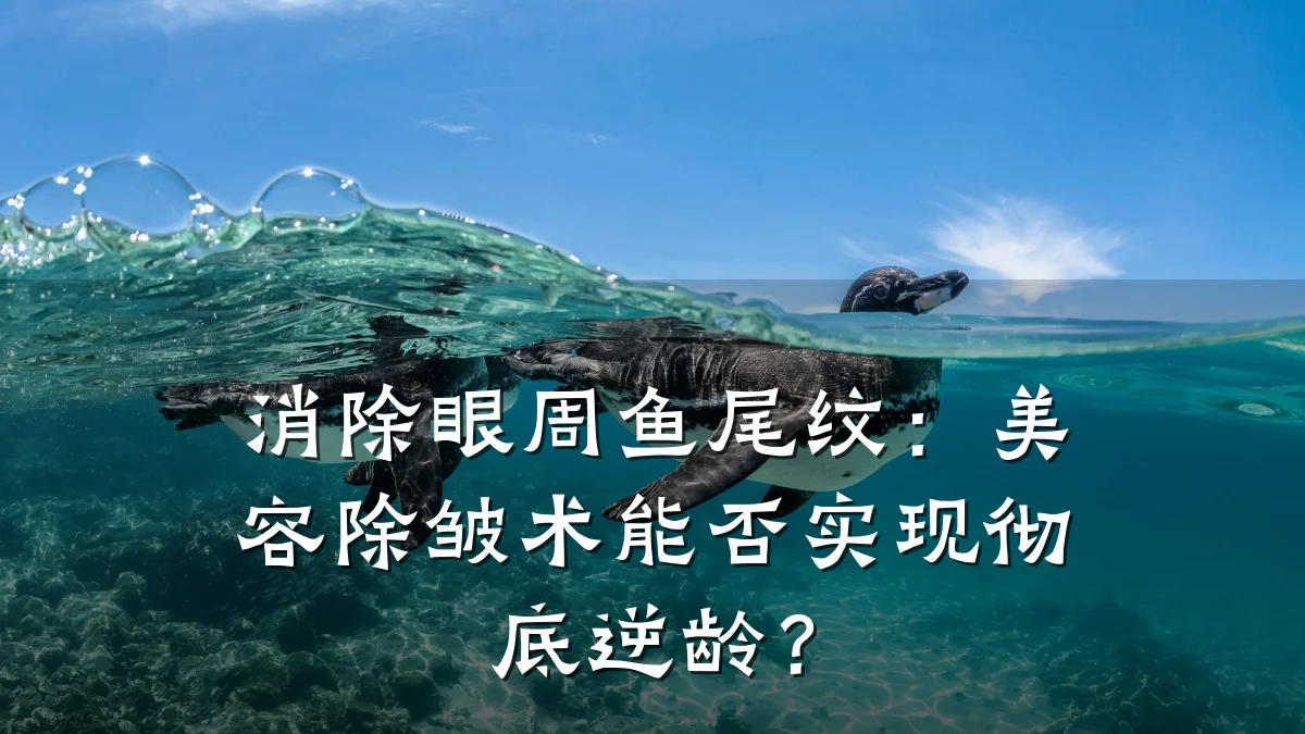 消除眼周鱼尾纹：美容除皱术能否实现彻底逆龄？