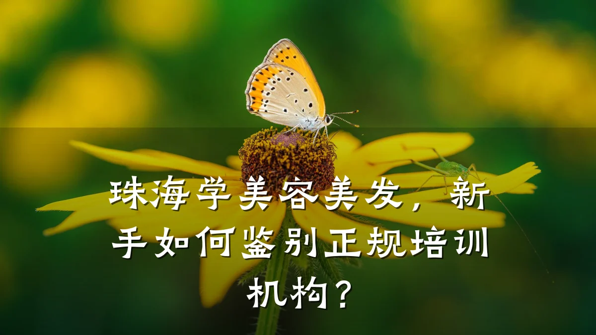 珠海学美容美发,新手如何鉴别正规培训机构?