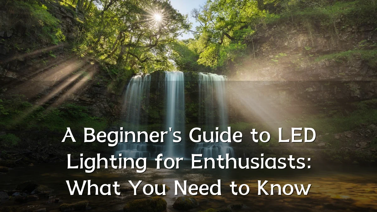 A Beginner's Guide to LED Lighting for Enthusiasts: What You Need to Know