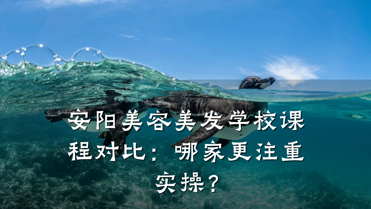 安阳美容美发学校课程对比:哪家更注重实操?