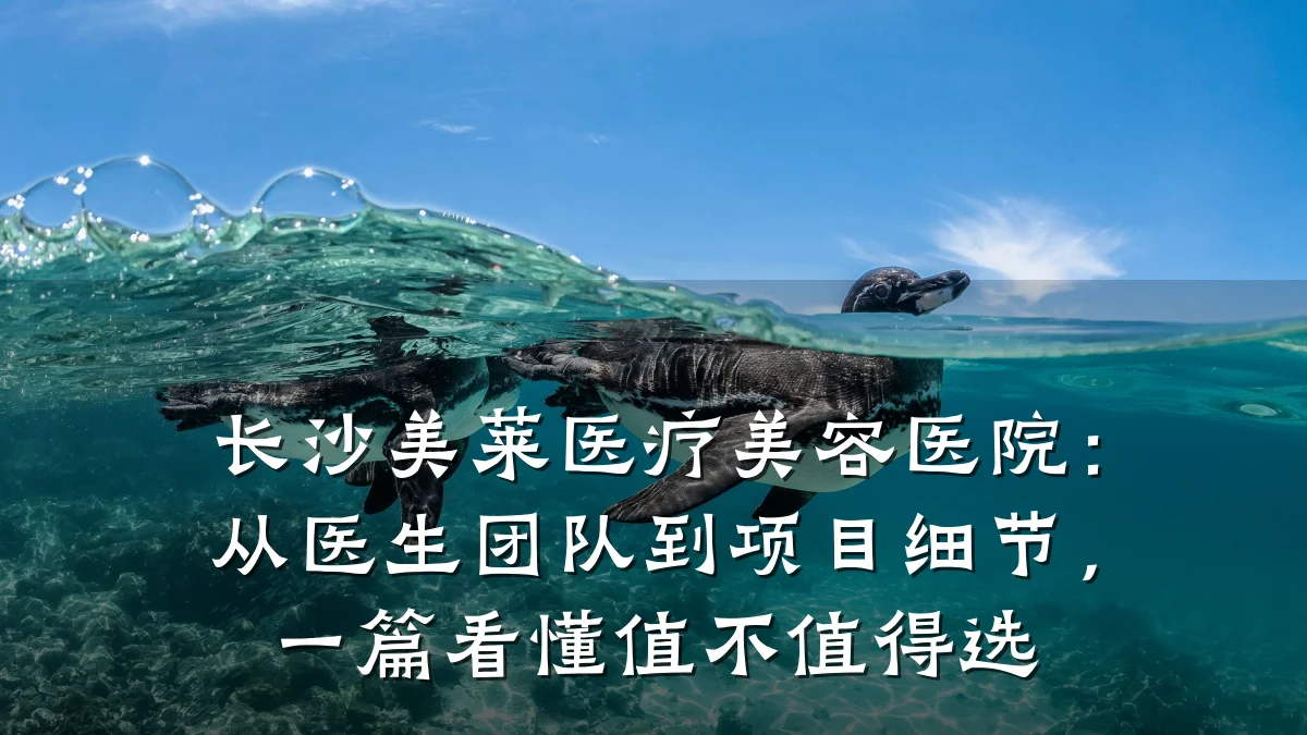 长沙美莱医疗美容医院:从医生团队到项目细节,一篇看懂值不值得选