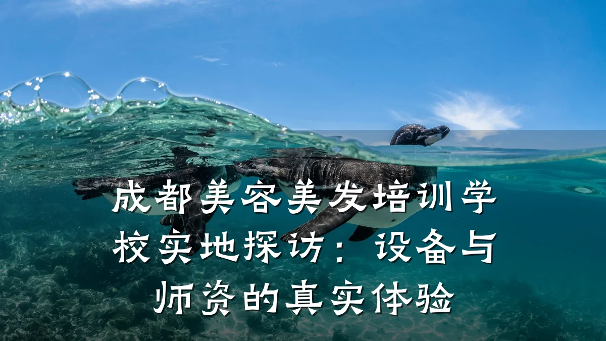 成都美容美发培训学校实地探访:设备与师资的真实体验