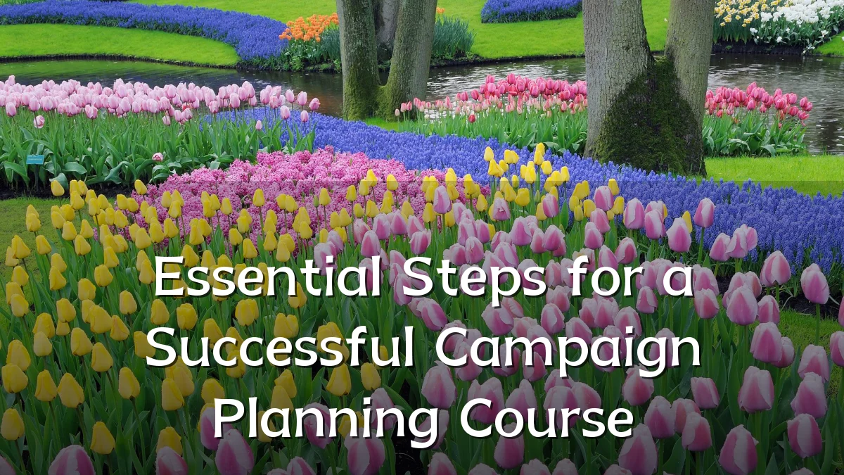 Essential Steps for a Successful Campaign Planning Course