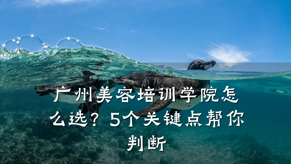 广州美容培训学院怎么选?5个关键点帮你判断