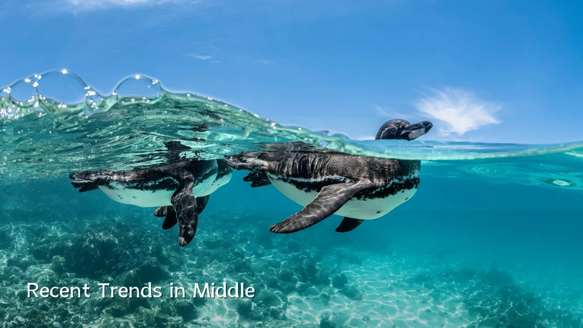Recent Trends in Middle