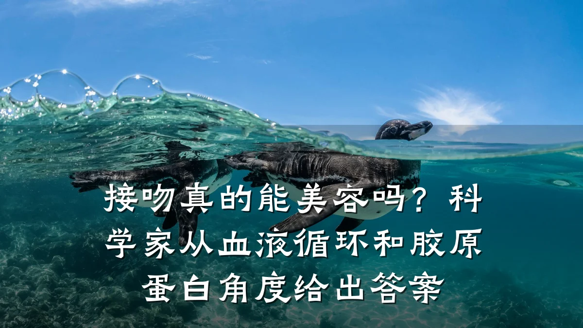 接吻真的能美容吗?科学家从血液循环和胶原蛋白角度给出答案