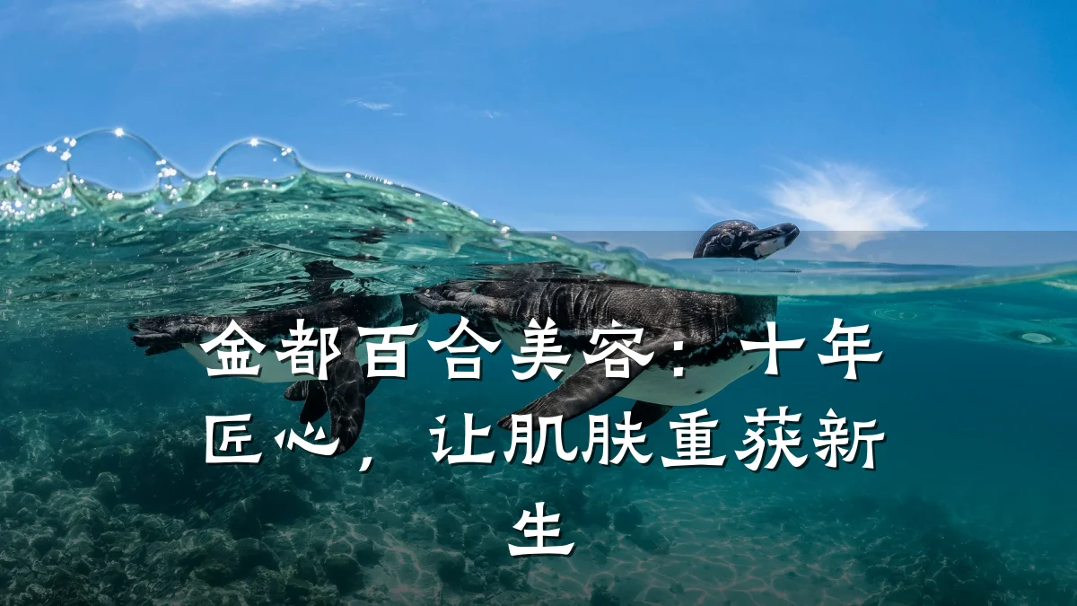 金都百合美容:十年匠心,让肌肤重获新生