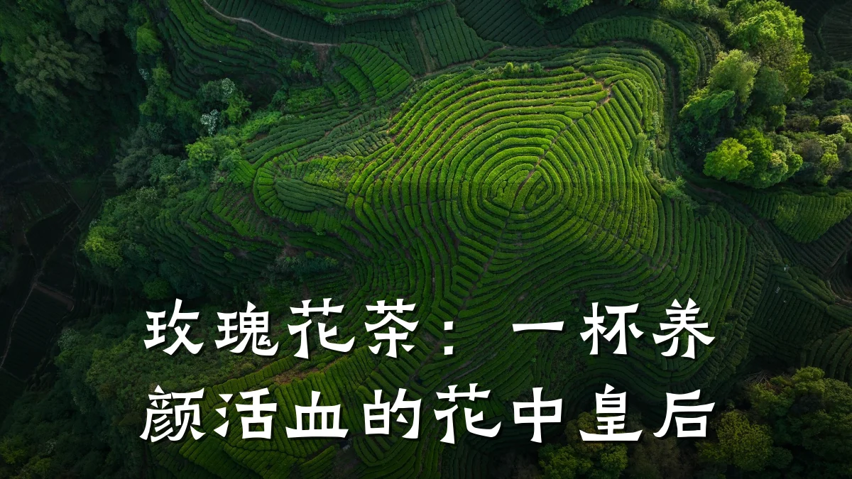 玫瑰花茶:一杯养颜活血的花中皇后