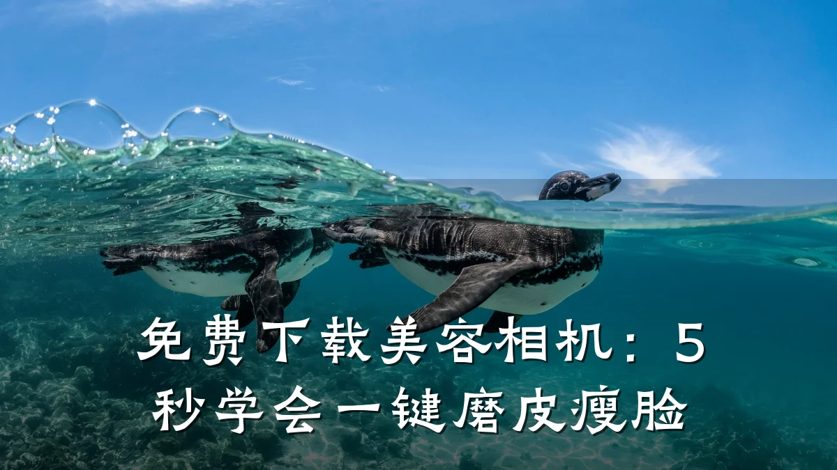 免费下载美容相机:5秒学会一键磨皮瘦脸