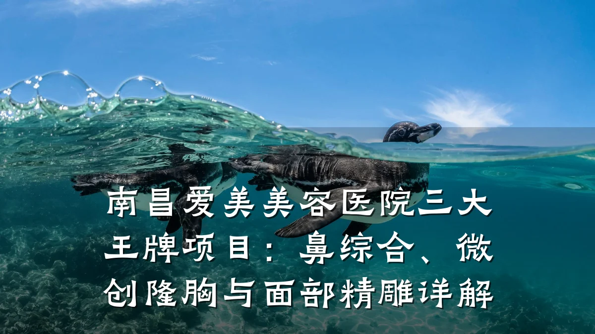 南昌爱美美容医院三大王牌项目:鼻综合、微创隆胸与面部精雕详解