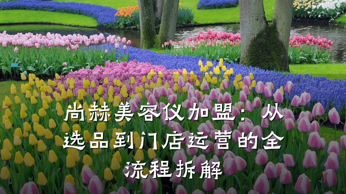 尚赫美容仪加盟:从选品到门店运营的全流程拆解