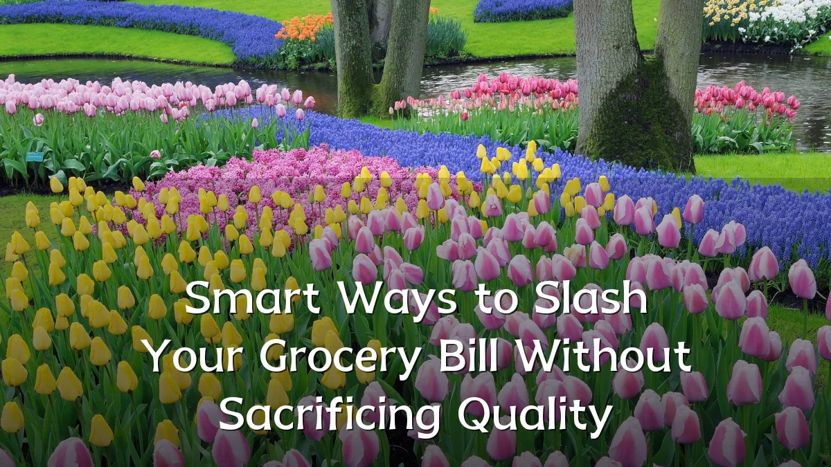Smart Ways to Slash Your Grocery Bill Without Sacrificing Quality