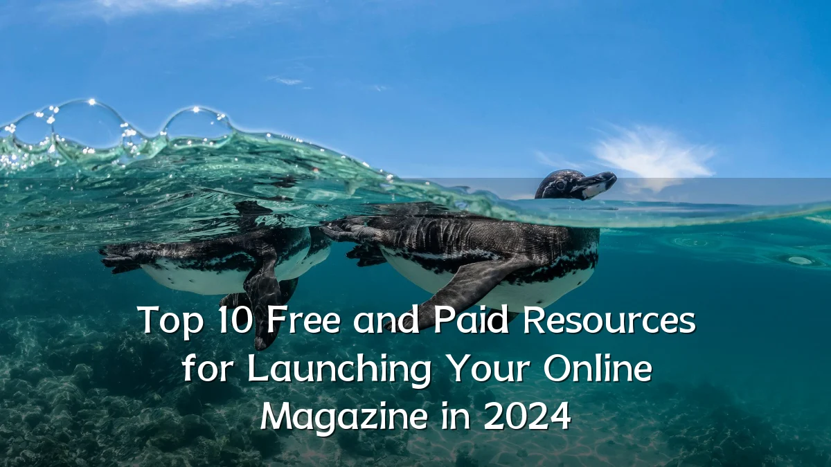 Top 10 Free and Paid Resources for Launching Your Online Magazine in 2024