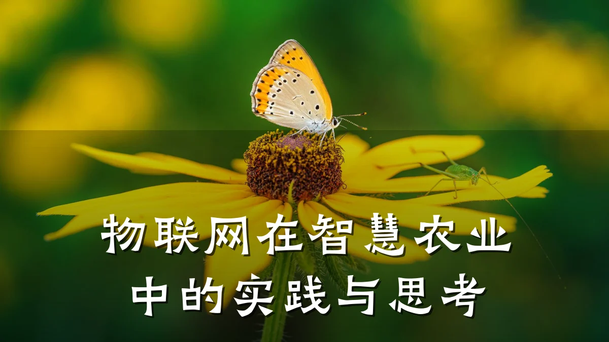 物联网在智慧农业中的实践与思考