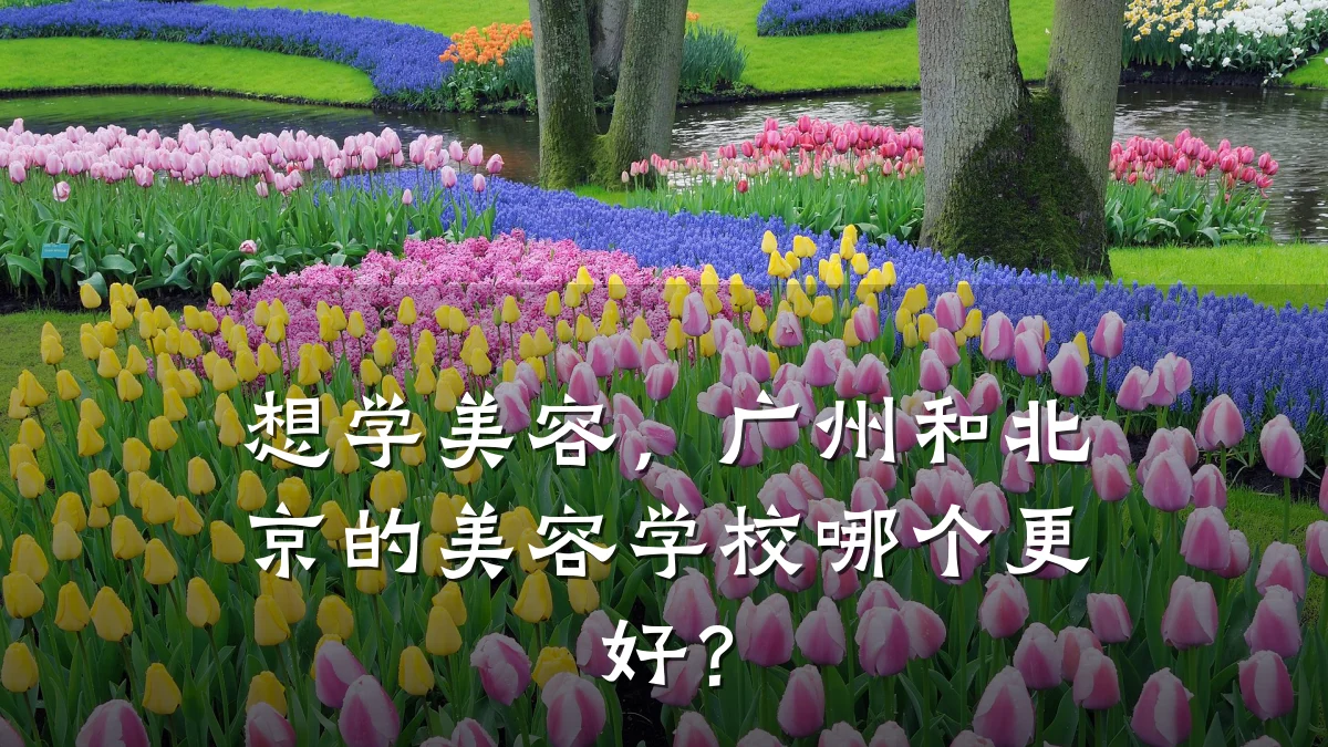 想学美容,广州和北京的美容学校哪个更好?