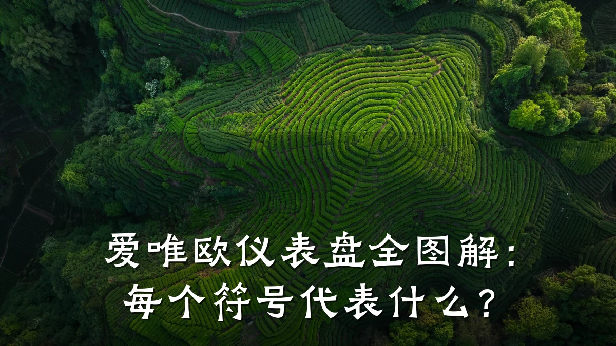 爱唯欧仪表盘全图解:每个符号代表什么?
