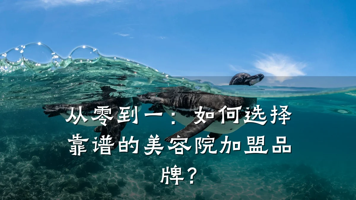 从零到一:如何选择靠谱的美容院加盟品牌?