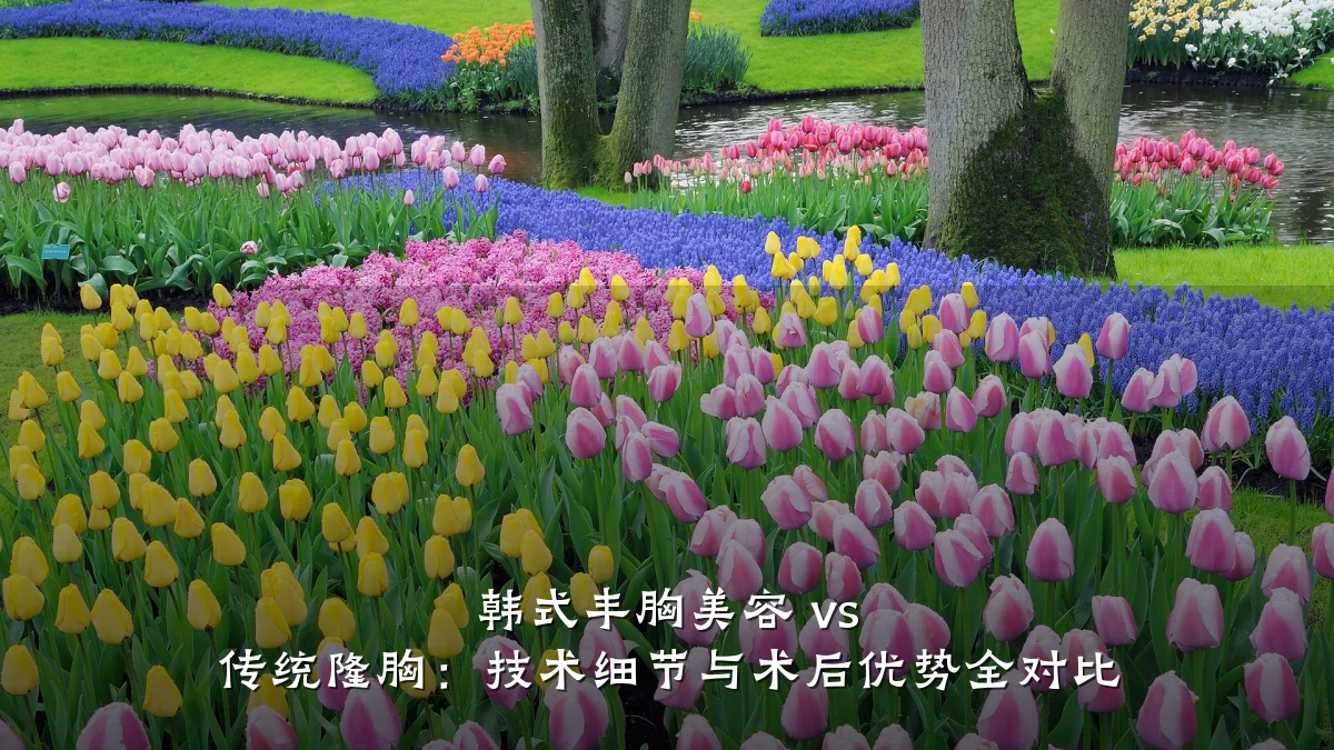 韩式丰胸美容 vs 传统隆胸:技术细节与术后优势全对比