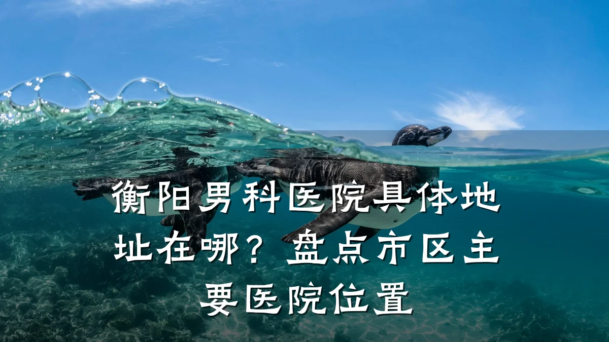 衡阳男科医院具体地址在哪?盘点市区主要医院位置