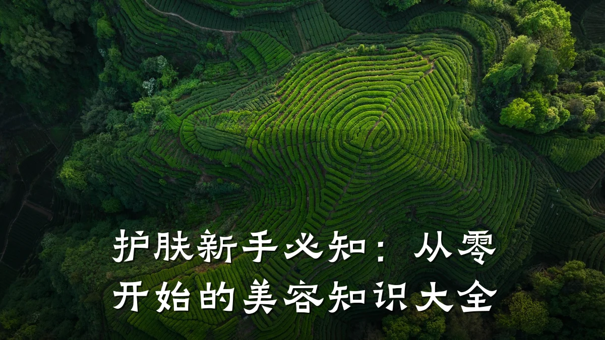 护肤新手必知:从零开始的美容知识大全