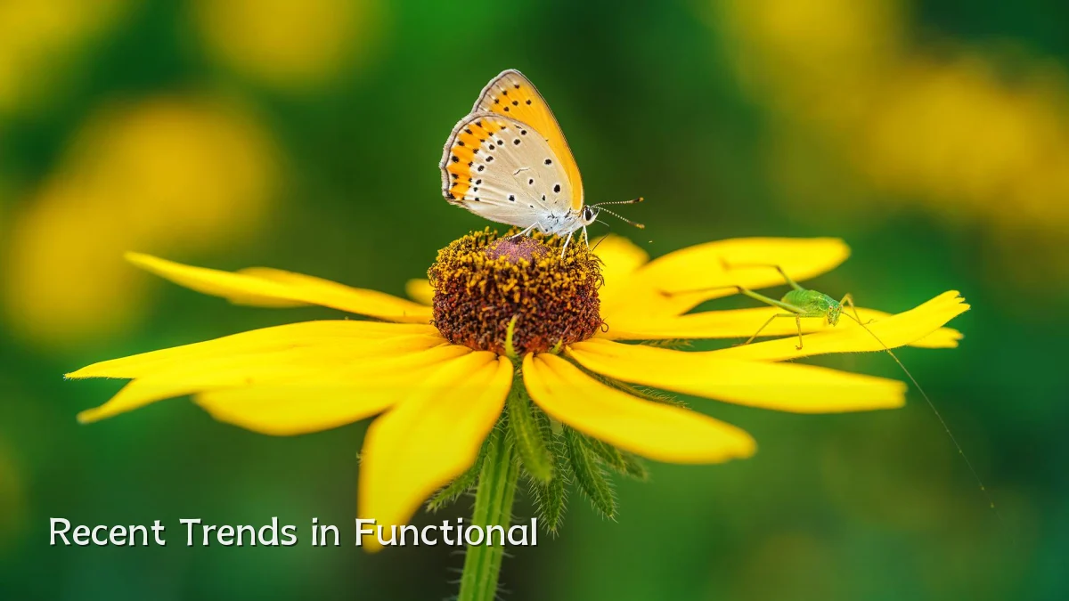 Recent Trends in Functional