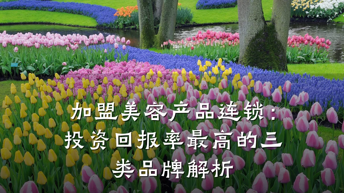 加盟美容产品连锁:投资回报率最高的三类品牌解析