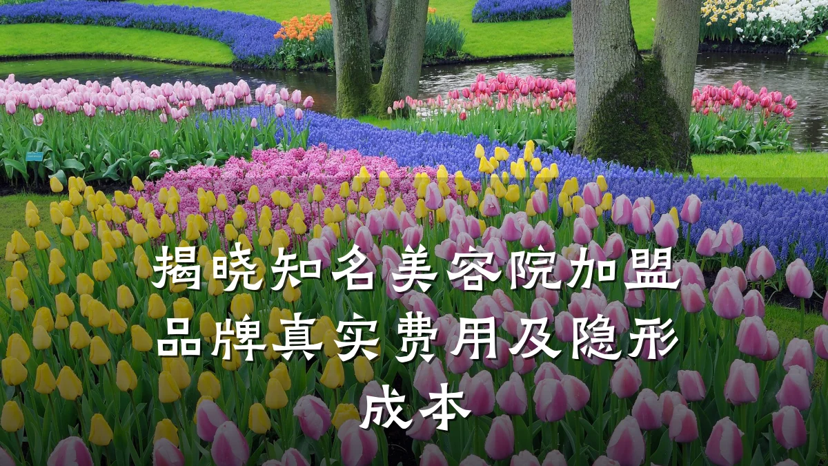 揭晓知名美容院加盟品牌真实费用及隐形成本