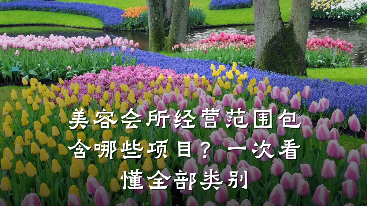 美容会所经营范围包含哪些项目?一次看懂全部类别