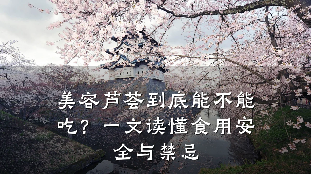 美容芦荟到底能不能吃?一文读懂食用安全与禁忌