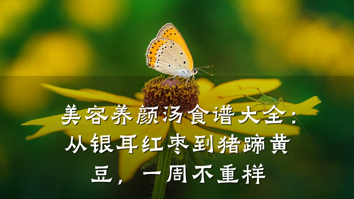 美容养颜汤食谱大全:从银耳红枣到猪蹄黄豆,一周不重样