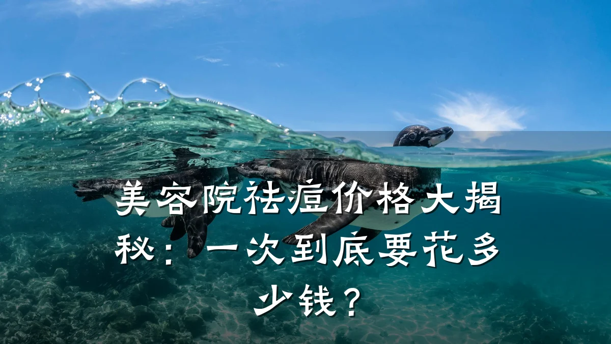 美容院祛痘价格大揭秘:一次到底要花多少钱?