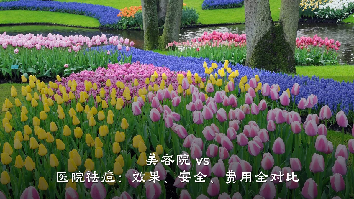美容院 vs 医院祛痘:效果、安全、费用全对比