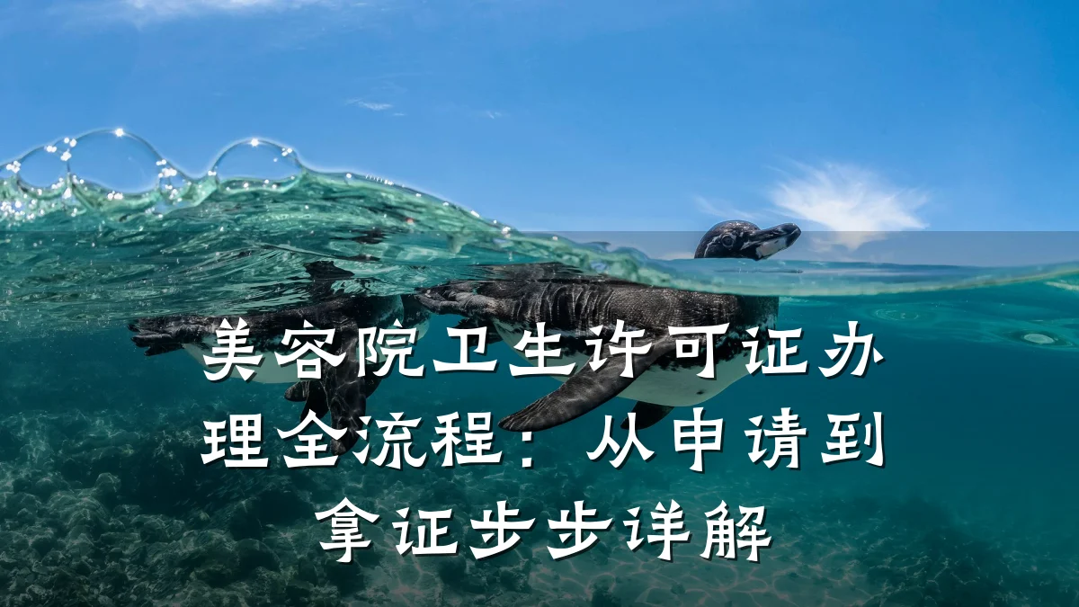 美容院卫生许可证办理全流程:从申请到拿证步步详解