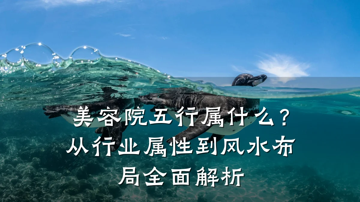 美容院五行属什么?从行业属性到风水布局全面解析