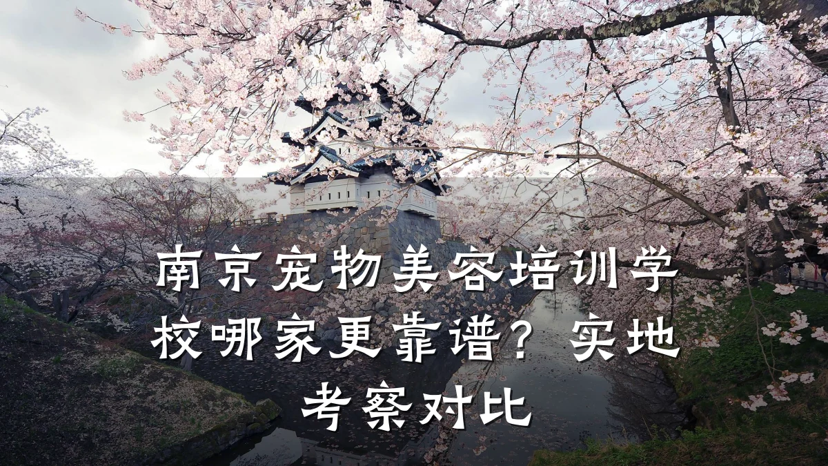 南京宠物美容培训学校哪家更靠谱?实地考察对比