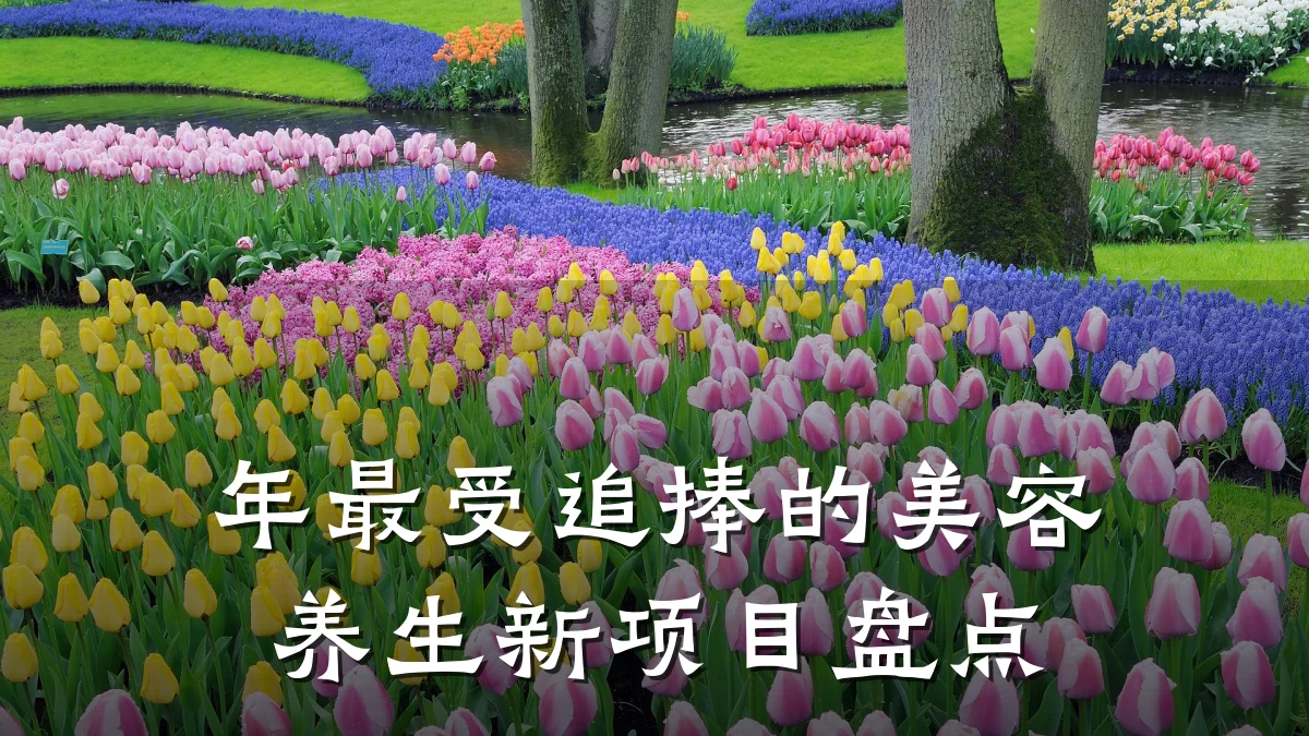 年最受追捧的美容养生新项目盘点