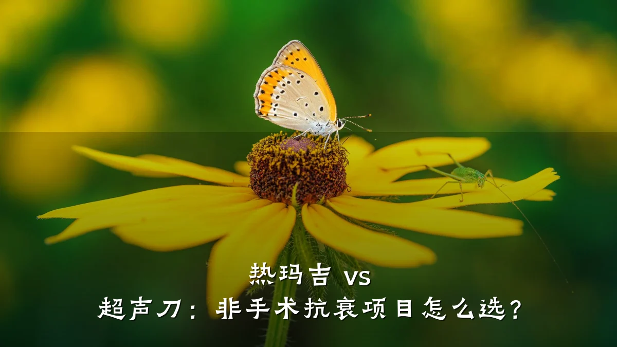 热玛吉 vs 超声刀:非手术抗衰项目怎么选?