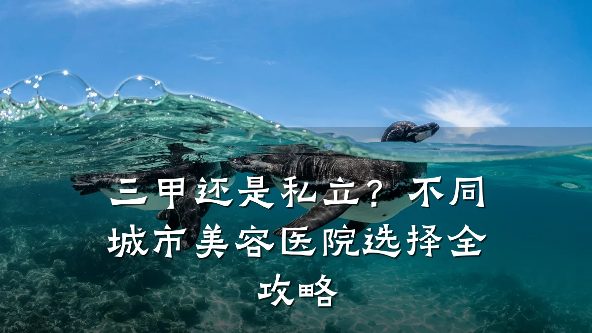 三甲还是私立?不同城市美容医院选择全攻略