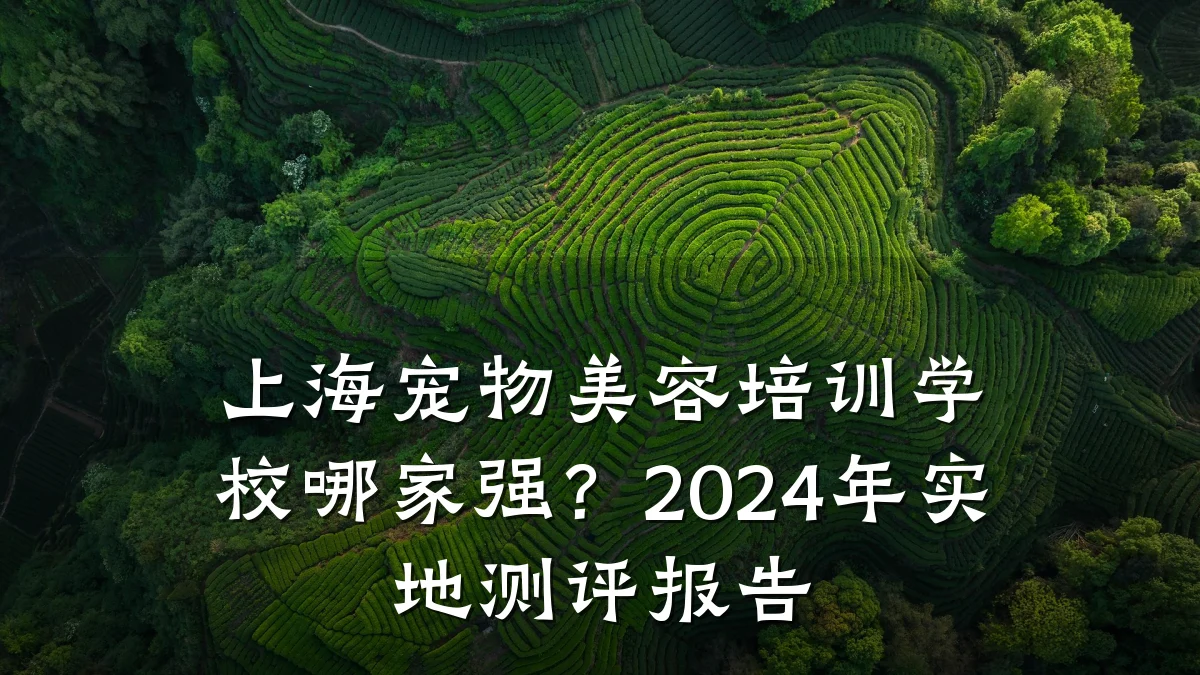 上海宠物美容培训学校哪家强?2024年实地测评报告