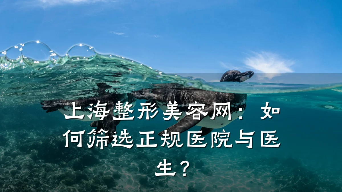上海整形美容网:如何筛选正规医院与医生?
