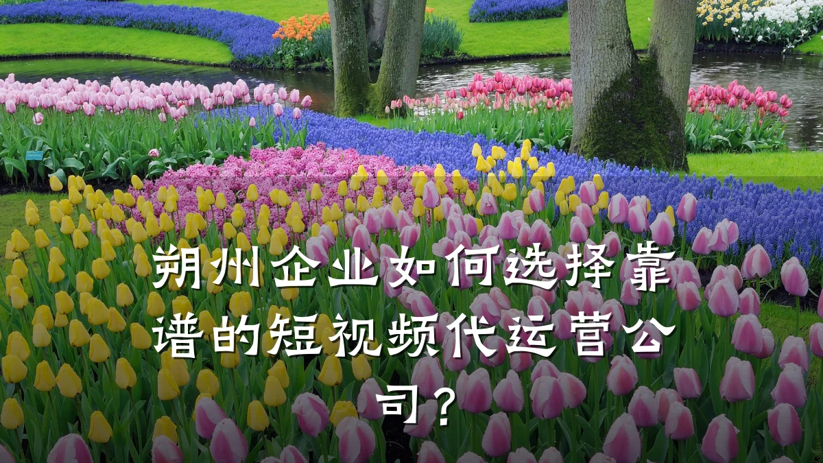朔州企业如何选择靠谱的短视频代运营公司？