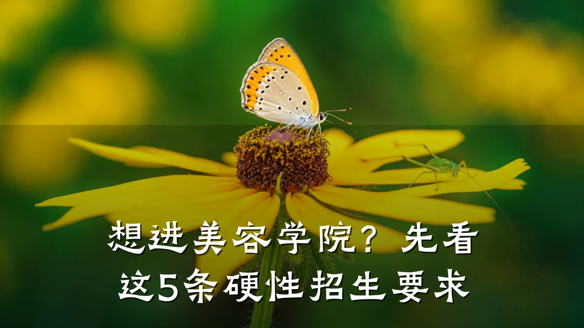 想进美容学院?先看这5条硬性招生要求