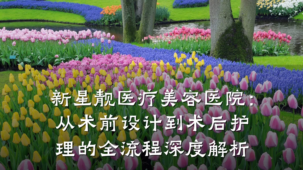 新星靓医疗美容医院:从术前设计到术后护理的全流程深度解析