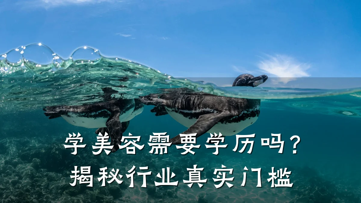 学美容需要学历吗?揭秘行业真实门槛